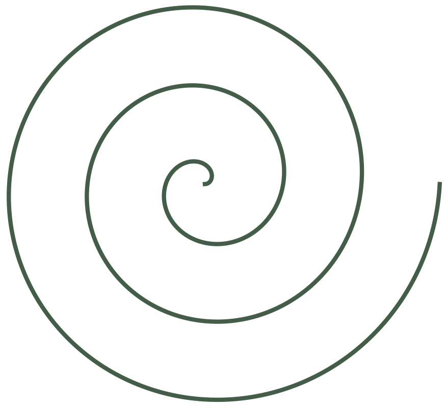 Inside Praxis Spiral logo